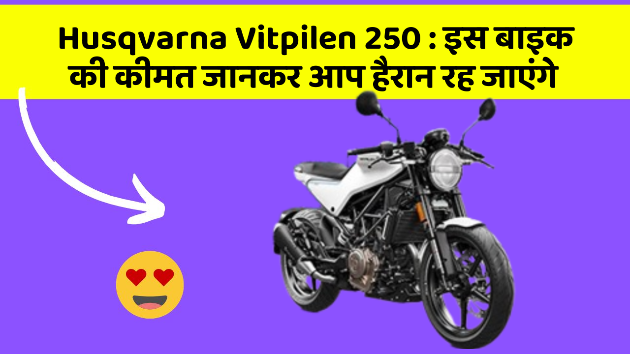 Husqvarna Vitpilen 250 : इस बाइक की कीमत जानकर आप हैरान रह जाएंगे